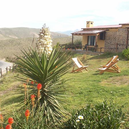 Cabanas Balcones De Tafi Тафі-дель-Вальє Екстер'єр фото